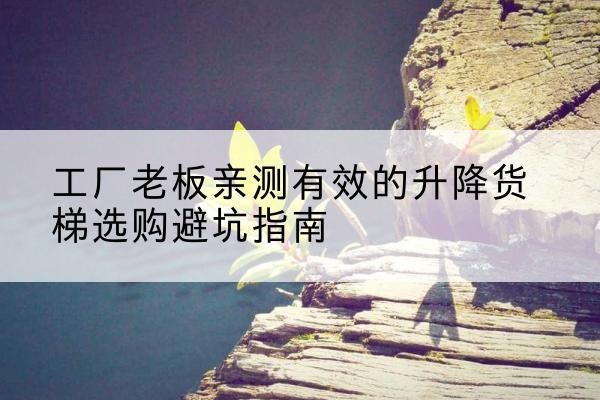 新兴升降货梯怎么选-工厂老板亲测有效的升降货梯选购避坑指南
