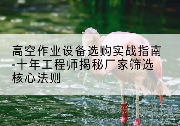 新兴剪叉式升降机厂家-高空作业设备选购实战指南-十年工程师揭秘厂家筛选核心法则