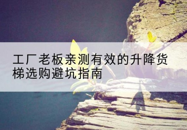 新兴升降货梯怎么选-工厂老板亲测有效的升降货梯选购避坑指南